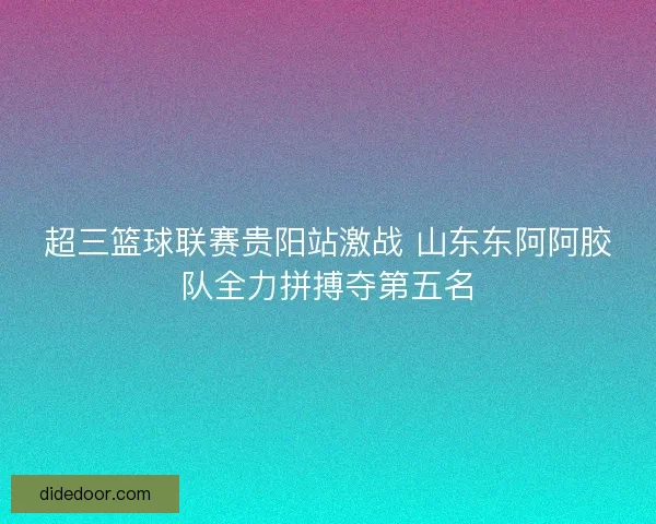 超三篮球联赛贵阳站激战 山东东阿阿胶队全力拼搏夺第五名